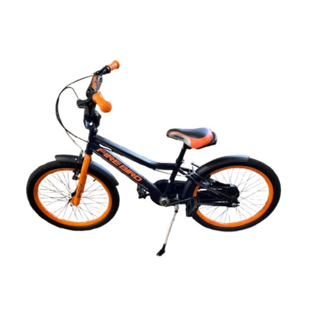 fire-bird-rocky-varon-r20-1082