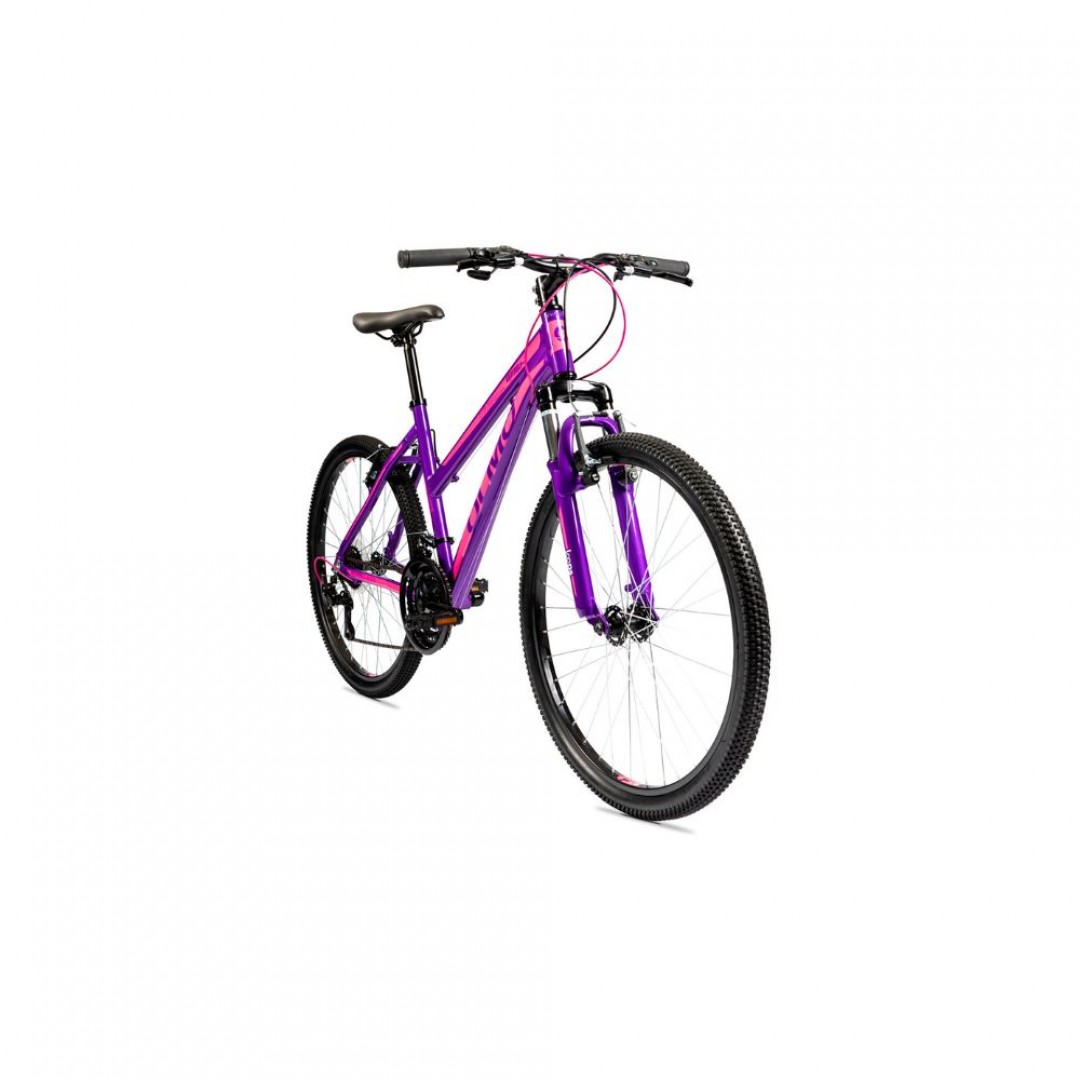 olmo-wish-265-r26-1454