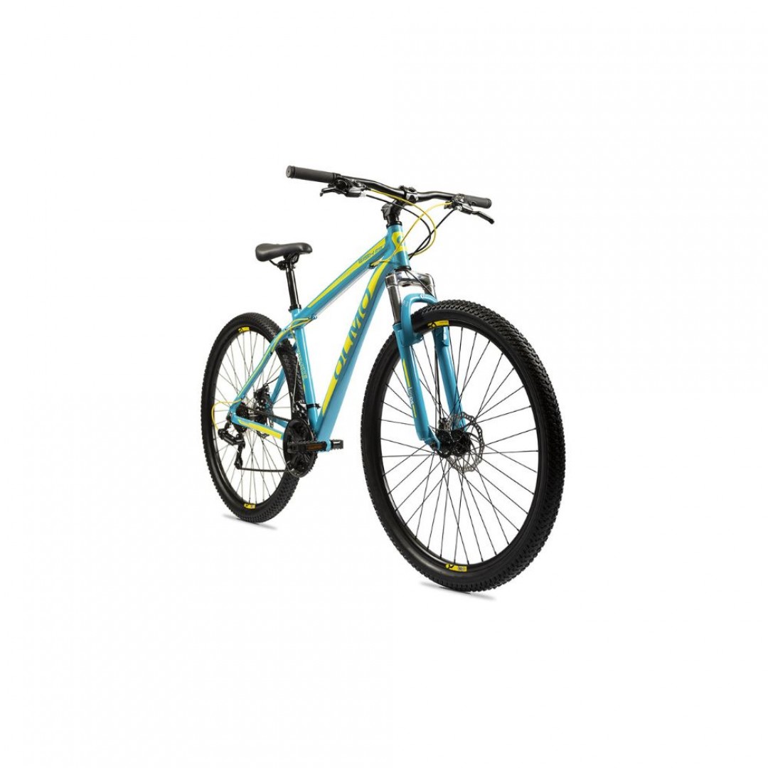 olmo-wish-290-r29-53